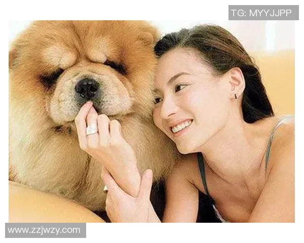 足球明星与可爱狗狗的温馨瞬间分享与回忆 足球明星与可爱狗狗的温馨瞬间分享与回忆