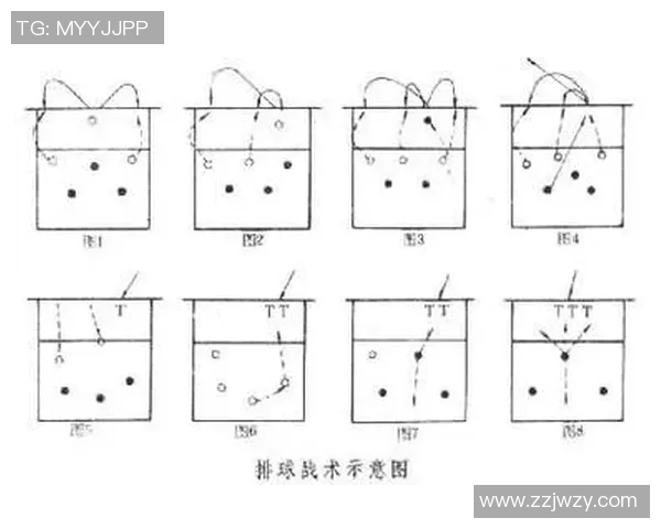 重庆排球队进攻战术深度分析与实战应用探讨