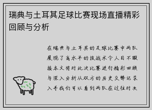 瑞典与土耳其足球比赛现场直播精彩回顾与分析
