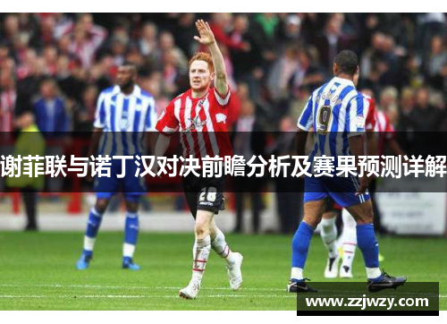 谢菲联与诺丁汉对决前瞻分析及赛果预测详解